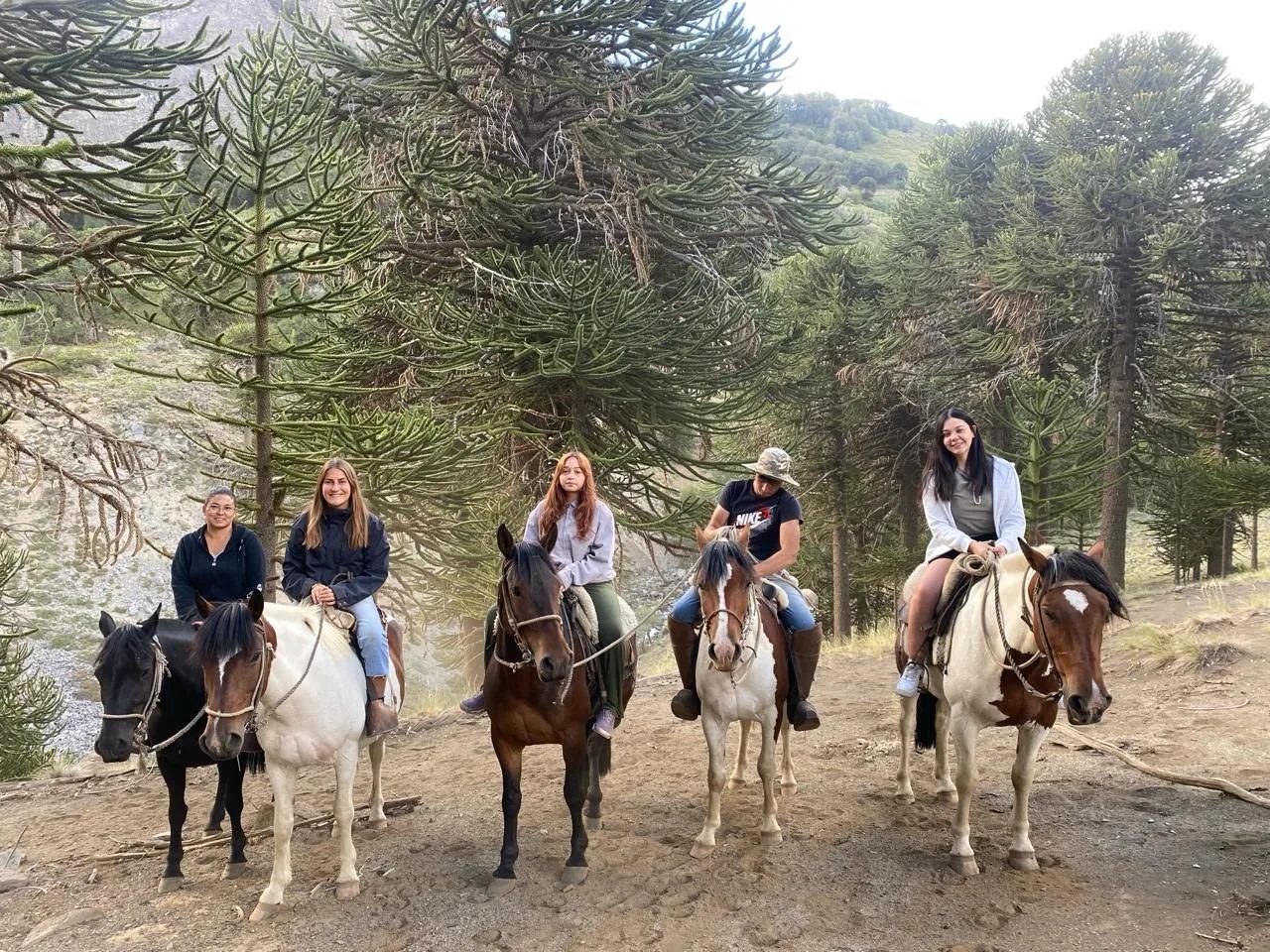 Programa de internados de naturaleza